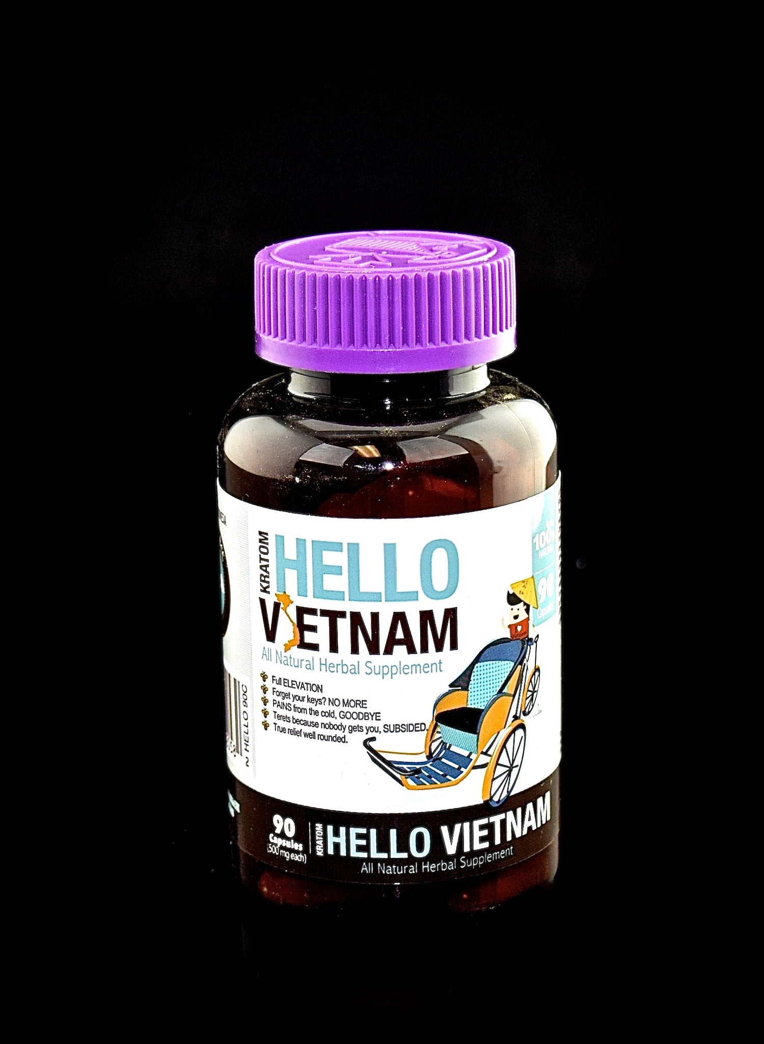 Bumble Bee Hello Vietnam-395